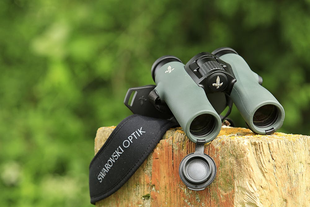 Swarovski NL Pure 10×32 Gear Bird Watching